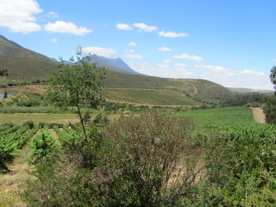 Commercial Property for Sale in Montagu Rural Western Cape